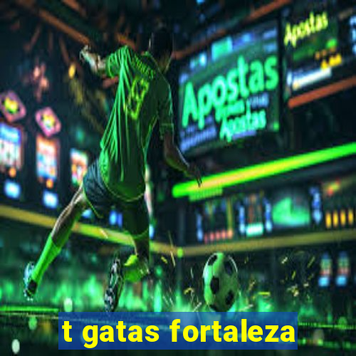 t gatas fortaleza